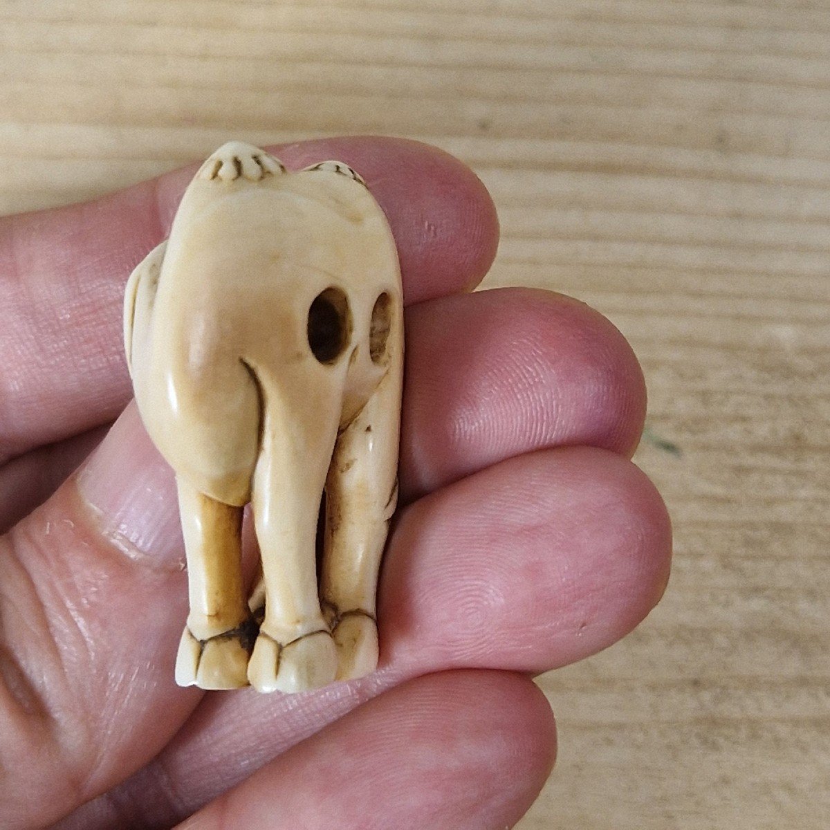 netsuke in avorio-photo-2