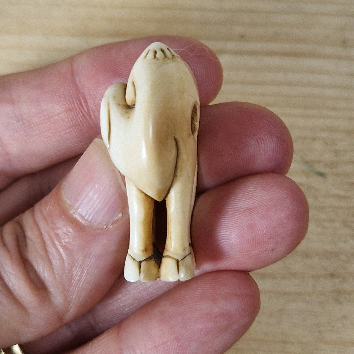 netsuke in avorio-photo-5