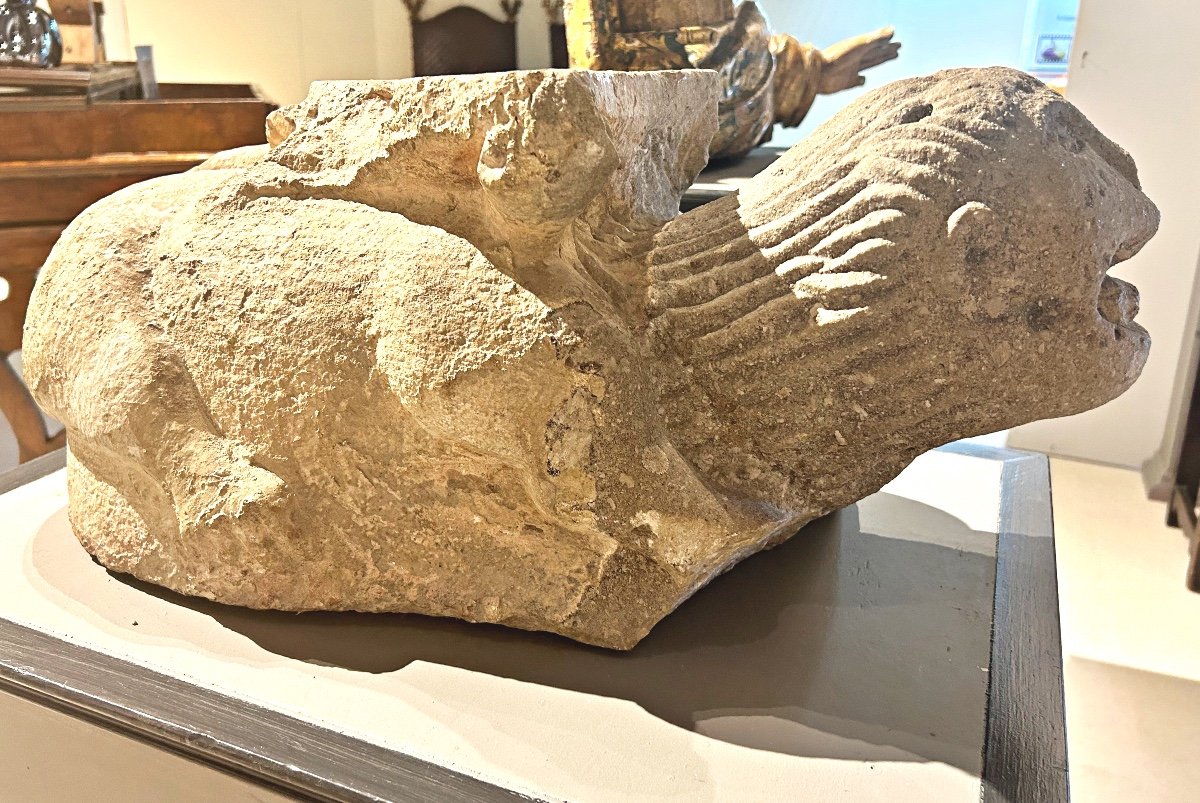 Leone marino stiloforo in pietra peperina, XII secolo.-photo-2