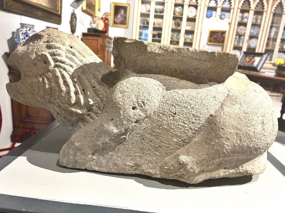 Leone marino stiloforo in pietra peperina, XII secolo.-photo-3