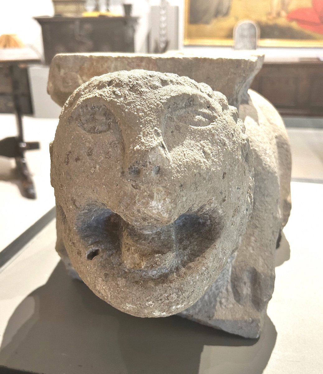 Leone marino stiloforo in pietra peperina, XII secolo.-photo-4