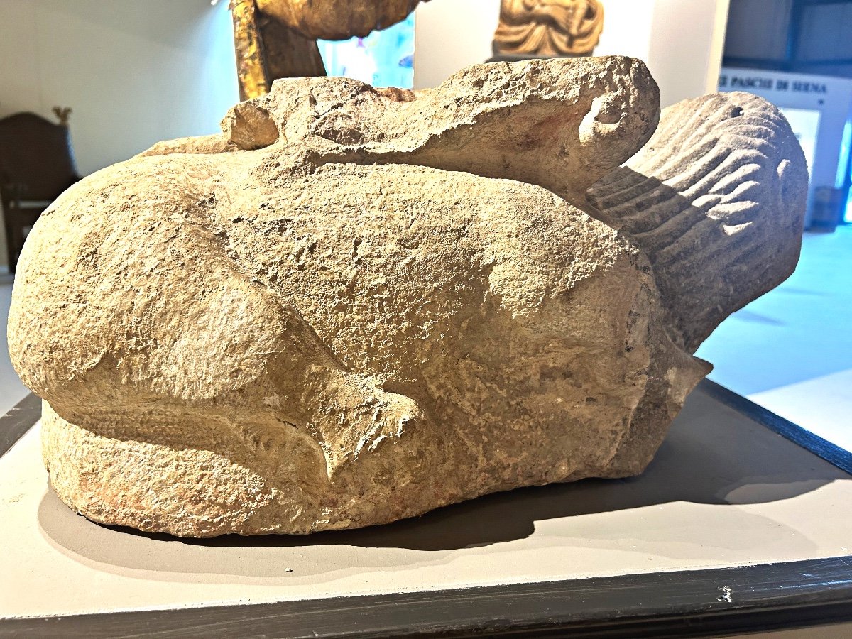 Leone marino stiloforo in pietra peperina, XII secolo.-photo-1
