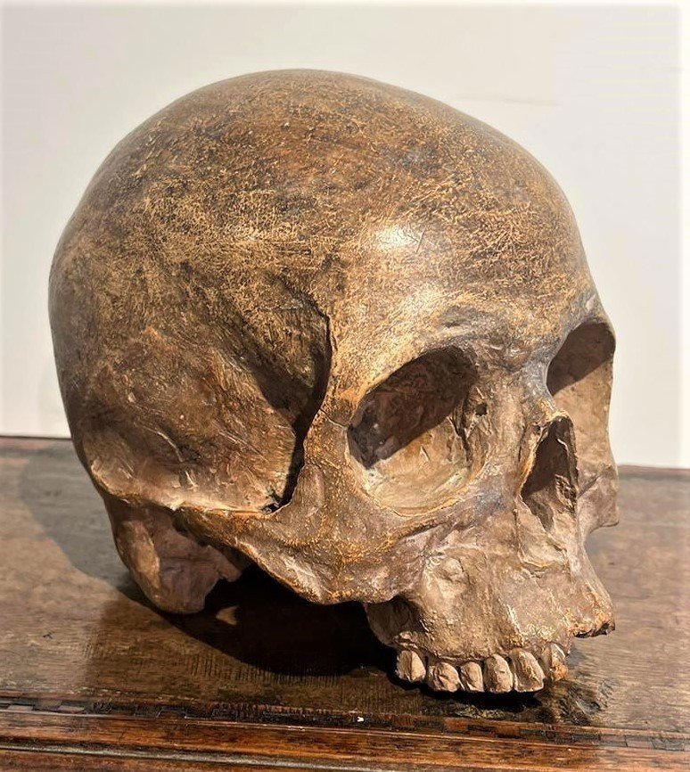 Teschio in terracotta - Vanitas o Memento mori del XVI secolo.-photo-2