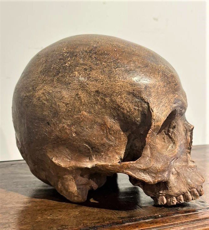 Teschio in terracotta - Vanitas o Memento mori del XVI secolo.-photo-3