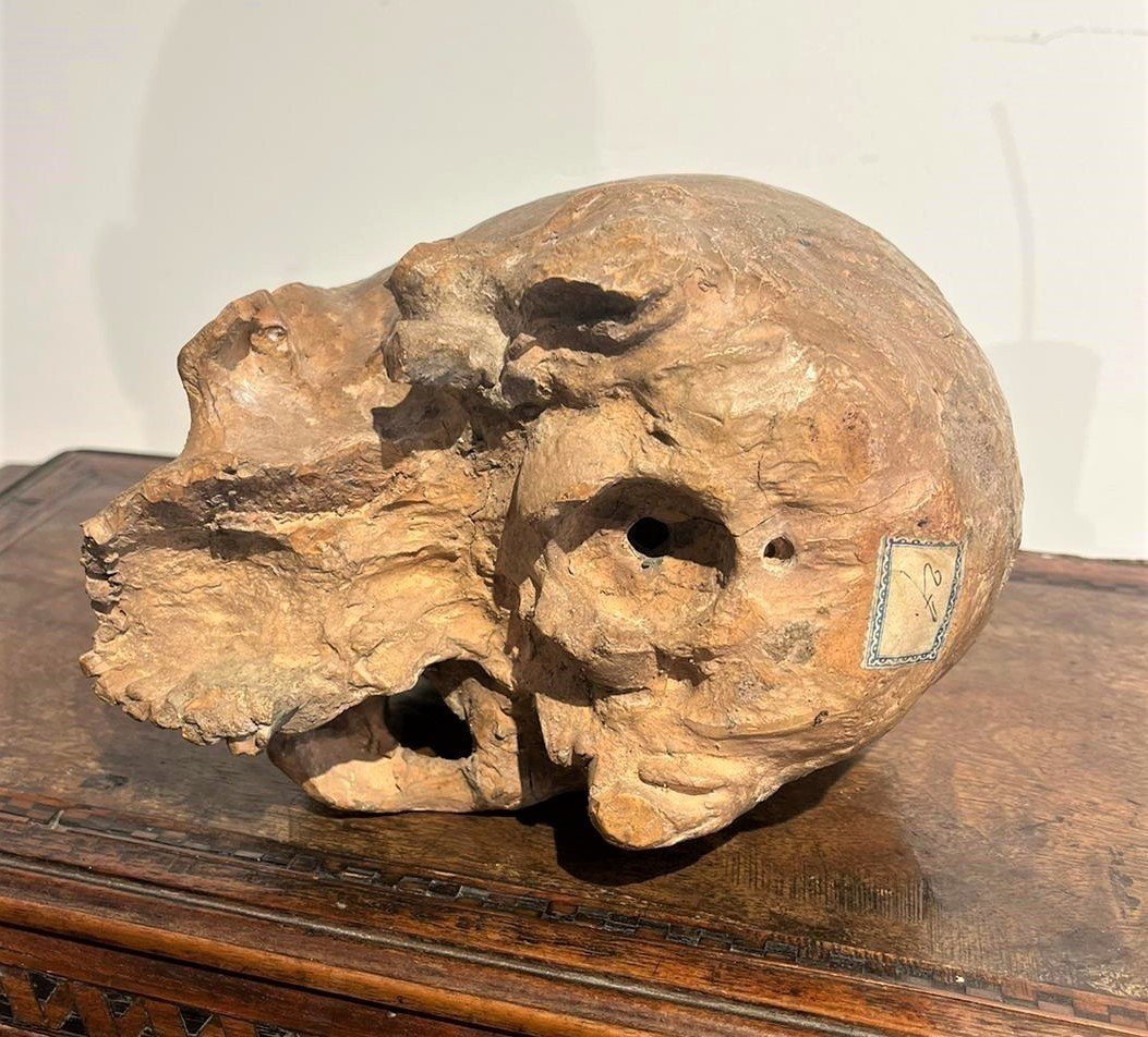 Teschio in terracotta - Vanitas o Memento mori del XVI secolo.-photo-4