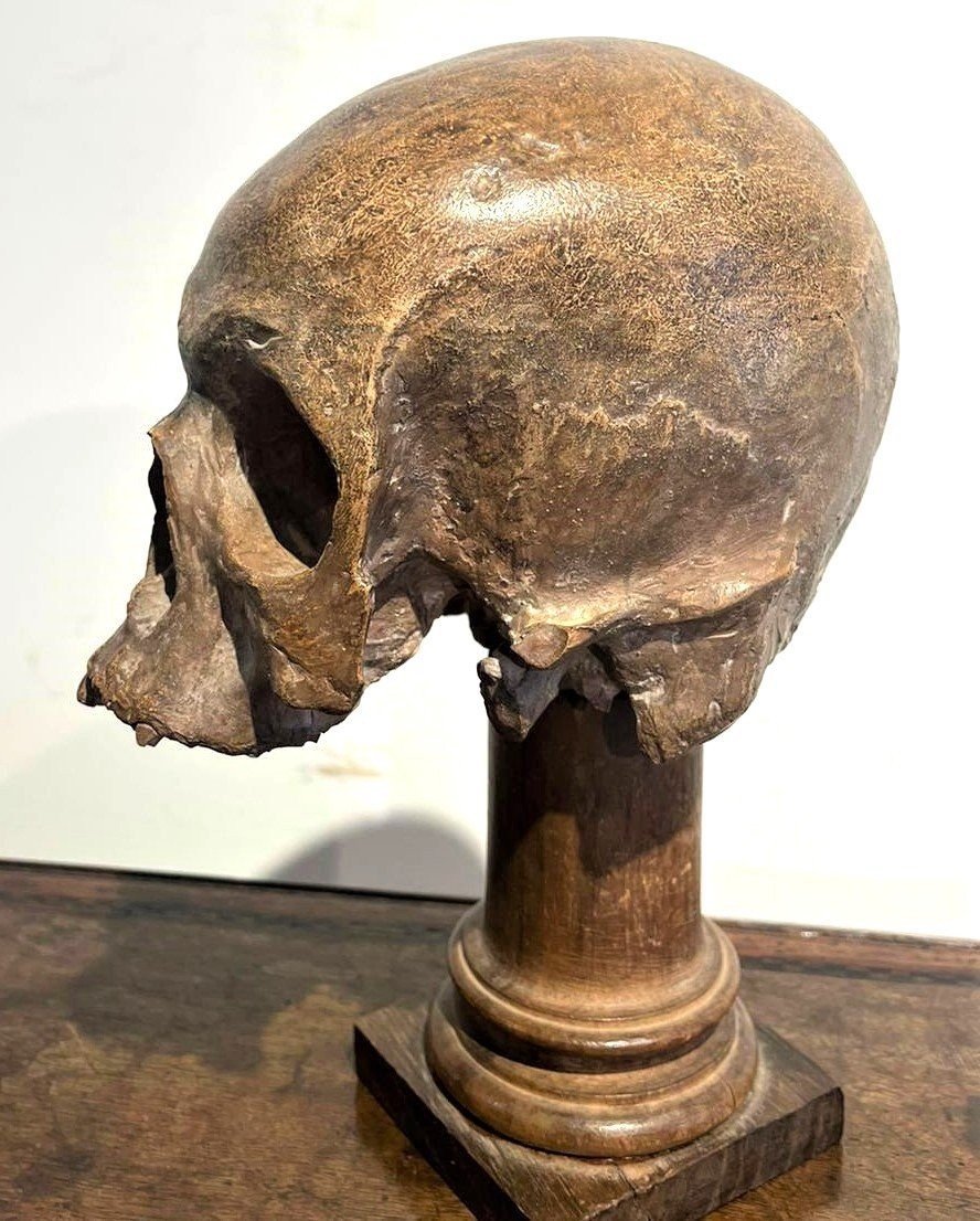 Teschio in terracotta - Vanitas o Memento mori del XVI secolo.-photo-1