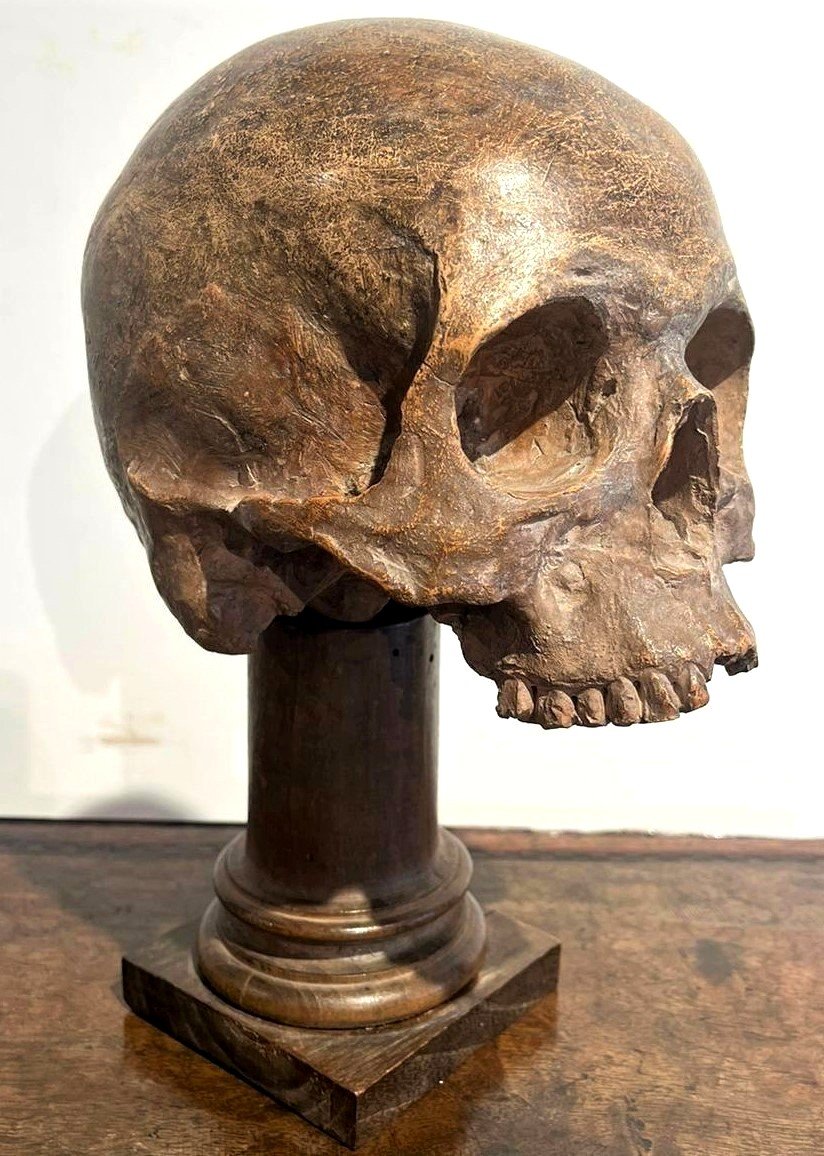 Teschio in terracotta - Vanitas o Memento mori del XVI secolo.