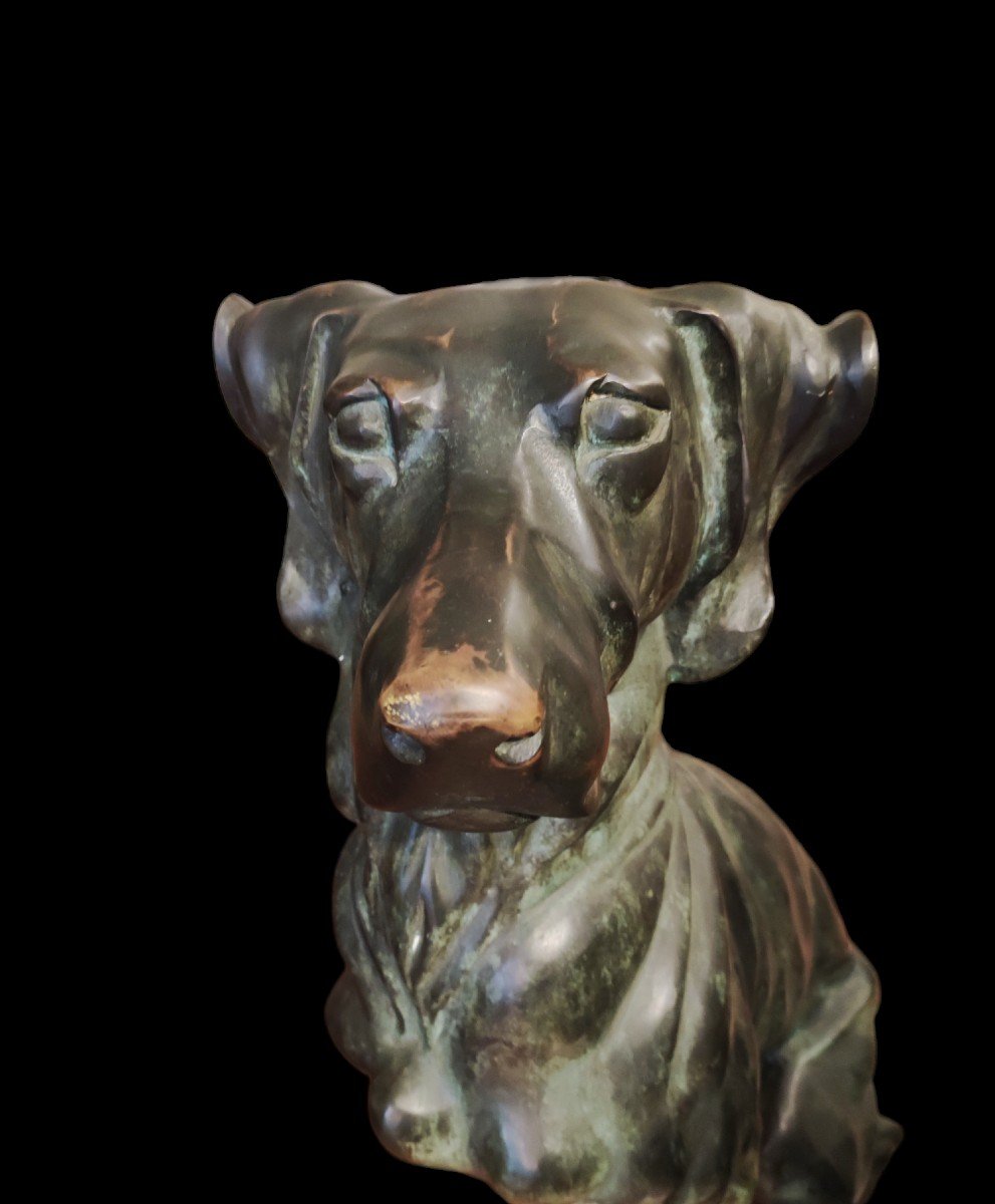 Coppia di cani seduti , sculture Italia XX Secolo -photo-4