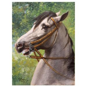Testa di cavallo, dipinto  tempera su carta di V.Tajani Italia inizi XX Secolo 