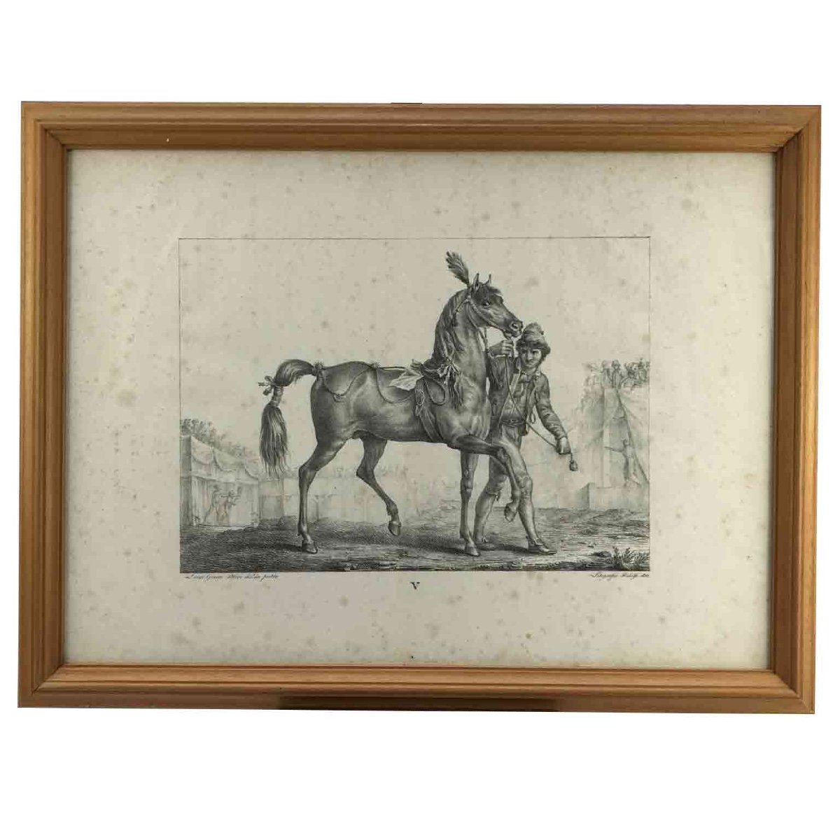 Luigi Giarré Razze di Cavalli Conosciute in Europa Firenze 1822-photo-2