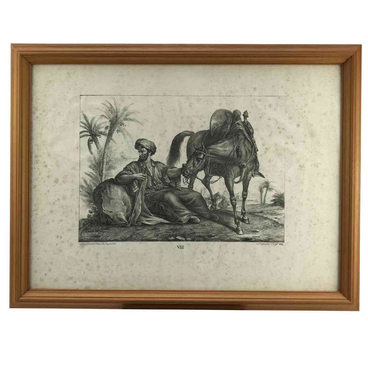 Luigi Giarré Razze di Cavalli Conosciute in Europa Firenze 1822-photo-1