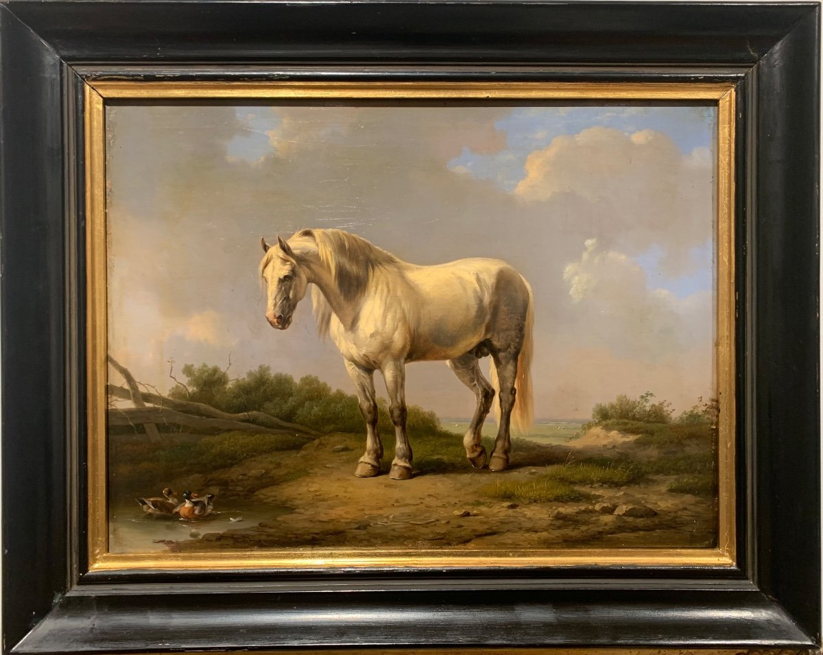 Cavallo con anatre. Olio su pannello 44x33. Attribuito a Eugene Verboeckhoven 1799-1881.-photo-2