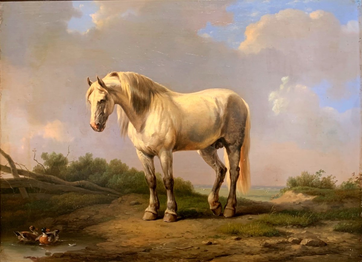 Cavallo con anatre. Olio su pannello 44x33. Attribuito a Eugene Verboeckhoven 1799-1881.-photo-3