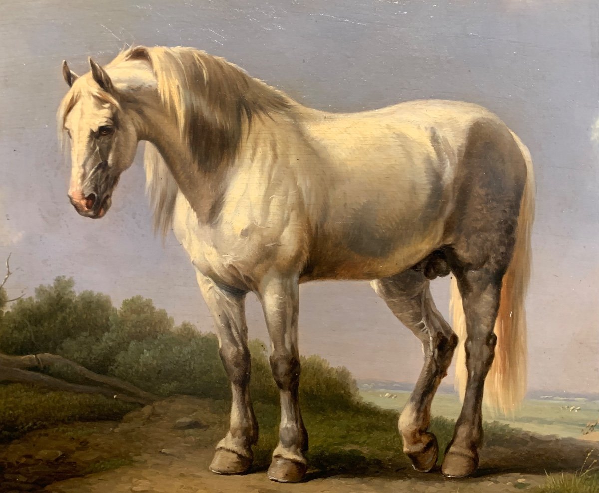 Cavallo con anatre. Olio su pannello 44x33. Attribuito a Eugene Verboeckhoven 1799-1881.-photo-4