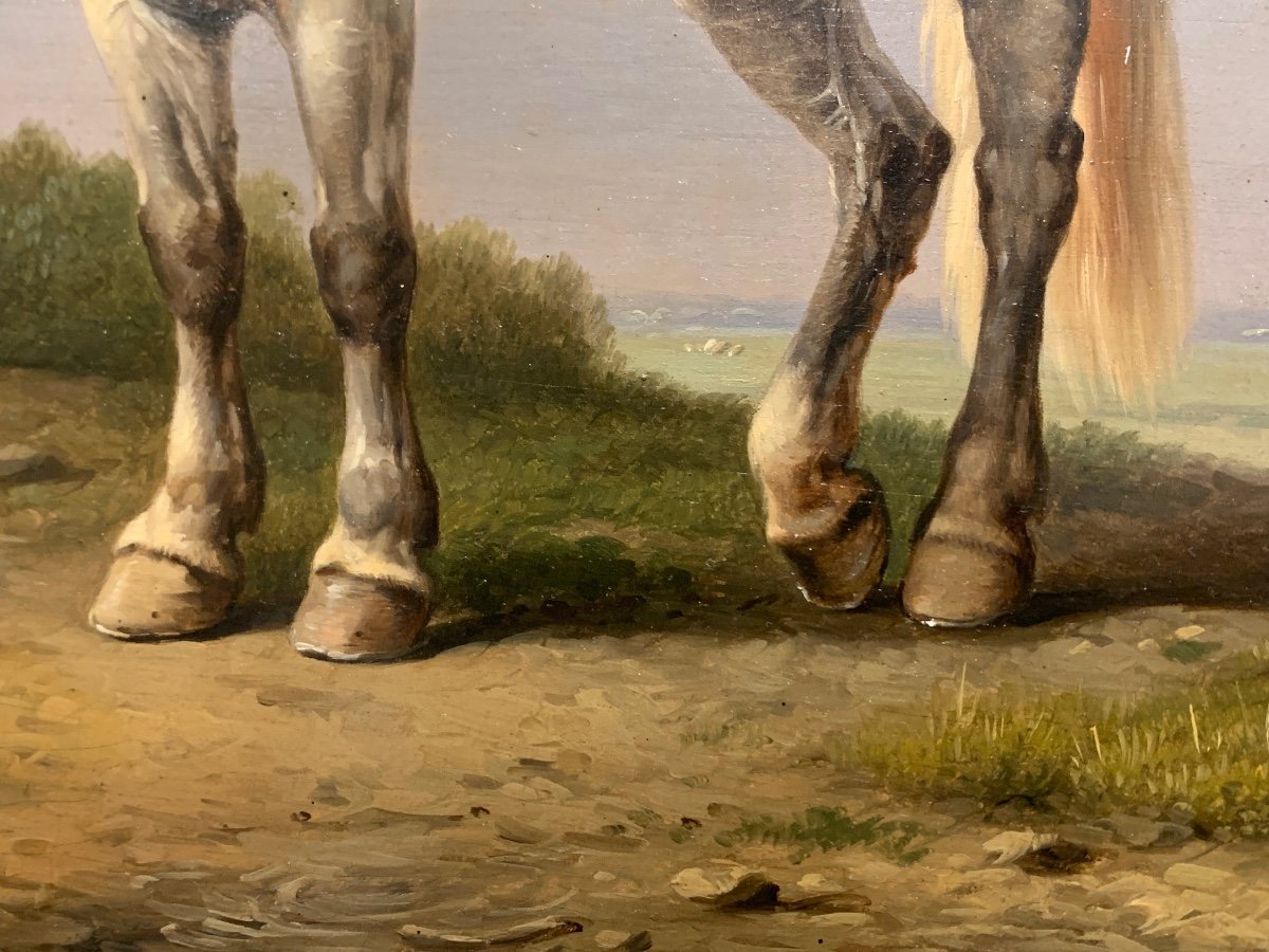 Cavallo con anatre. Olio su pannello 44x33. Attribuito a Eugene Verboeckhoven 1799-1881.-photo-5