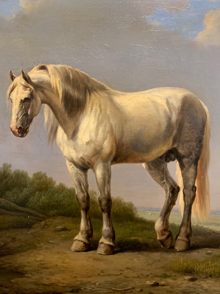 Cavallo con anatre. Olio su pannello 44x33. Attribuito a Eugene Verboeckhoven 1799-1881.-photo-6