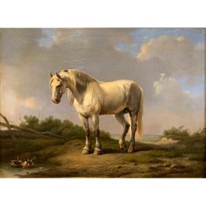 Cavallo con anatre. Olio su pannello 44x33. Attribuito a Eugene Verboeckhoven 1799-1881.