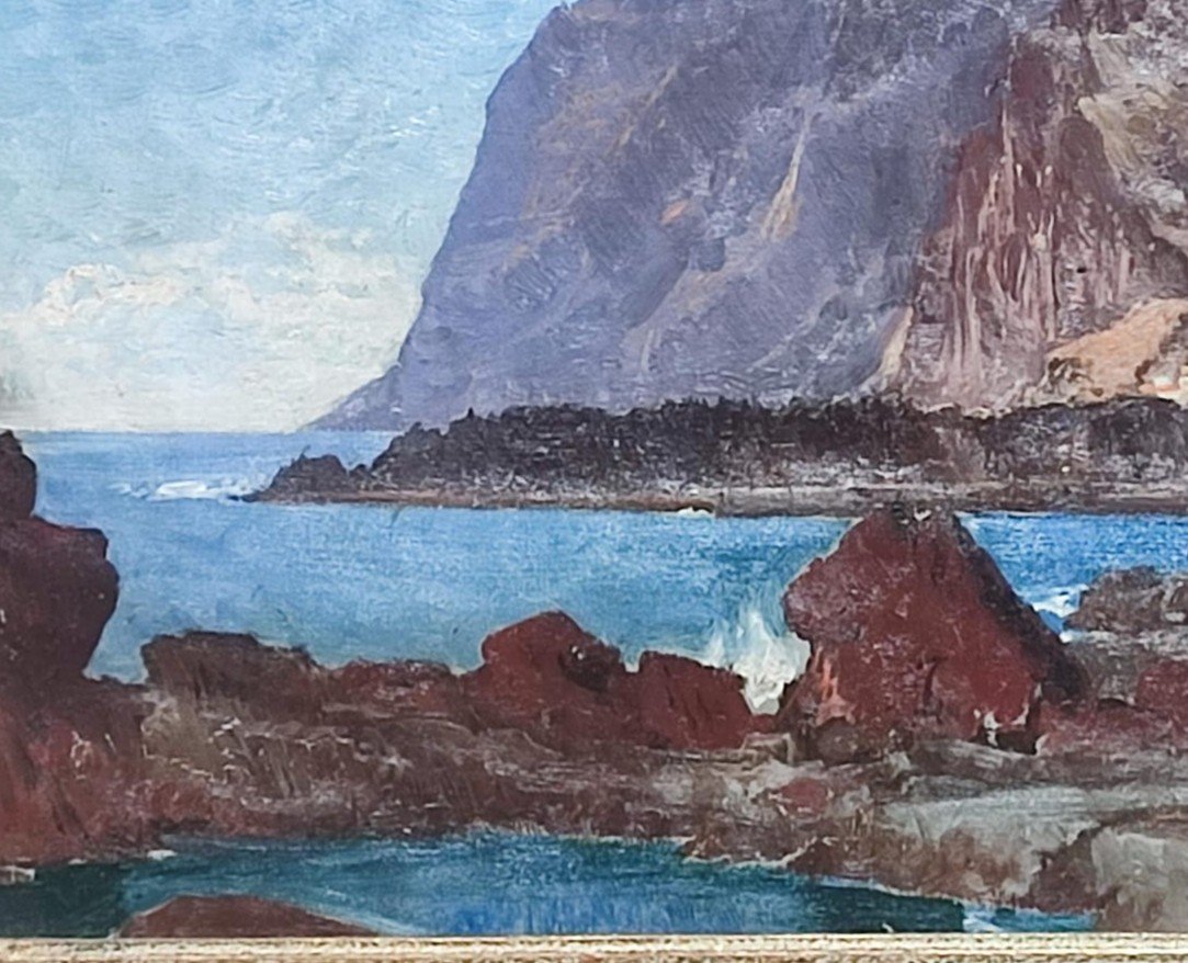 Riserva di Capo Gallo a Palermo -  Frederick Paul Nerly  1843-1919 -photo-4