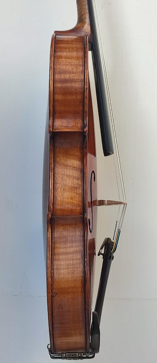 Violino napoletano di Vincenzo Postiglione  (1831-1916) 1860 circa-photo-2