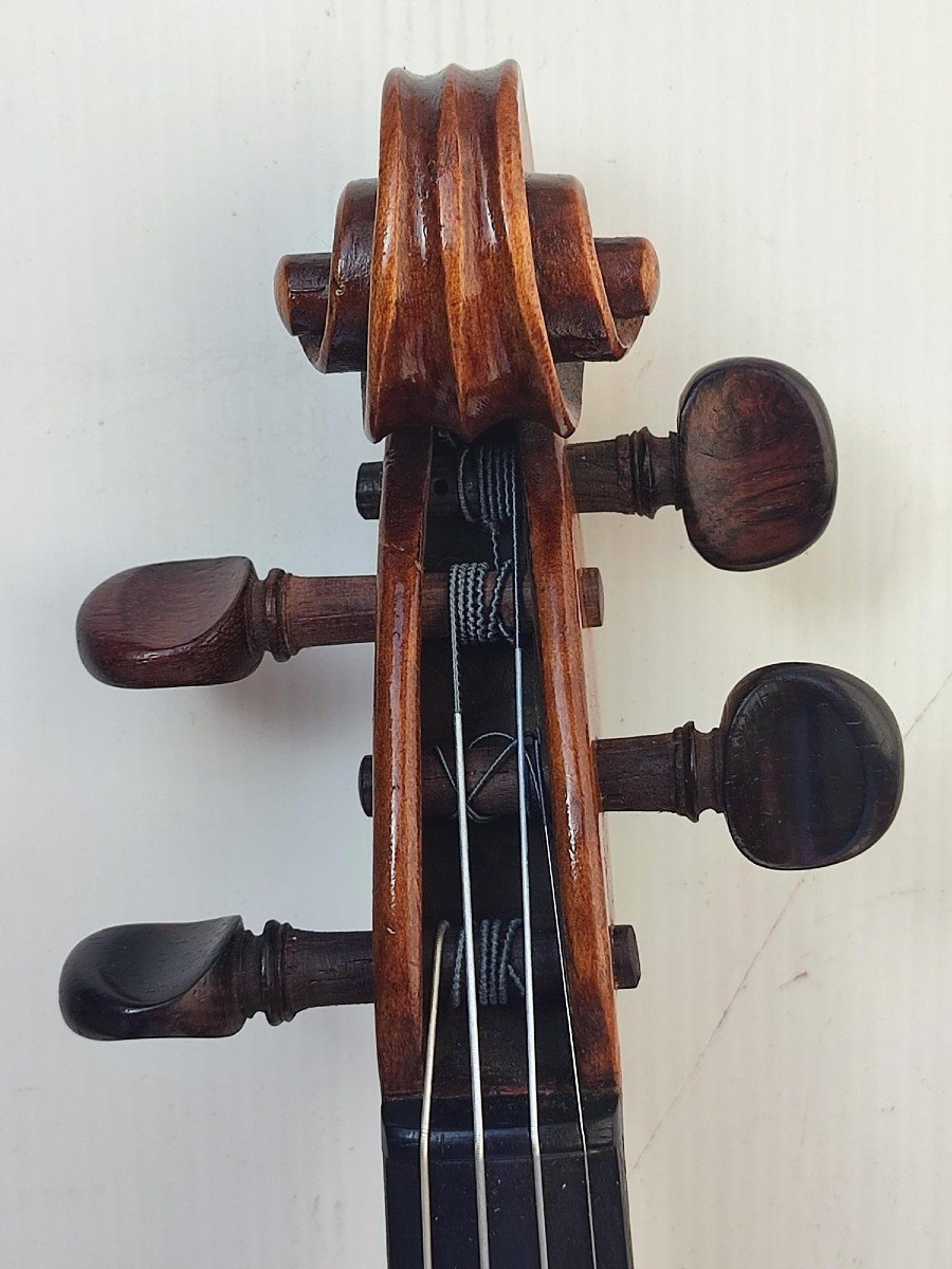 Violino napoletano di Vincenzo Postiglione  (1831-1916) 1860 circa-photo-1