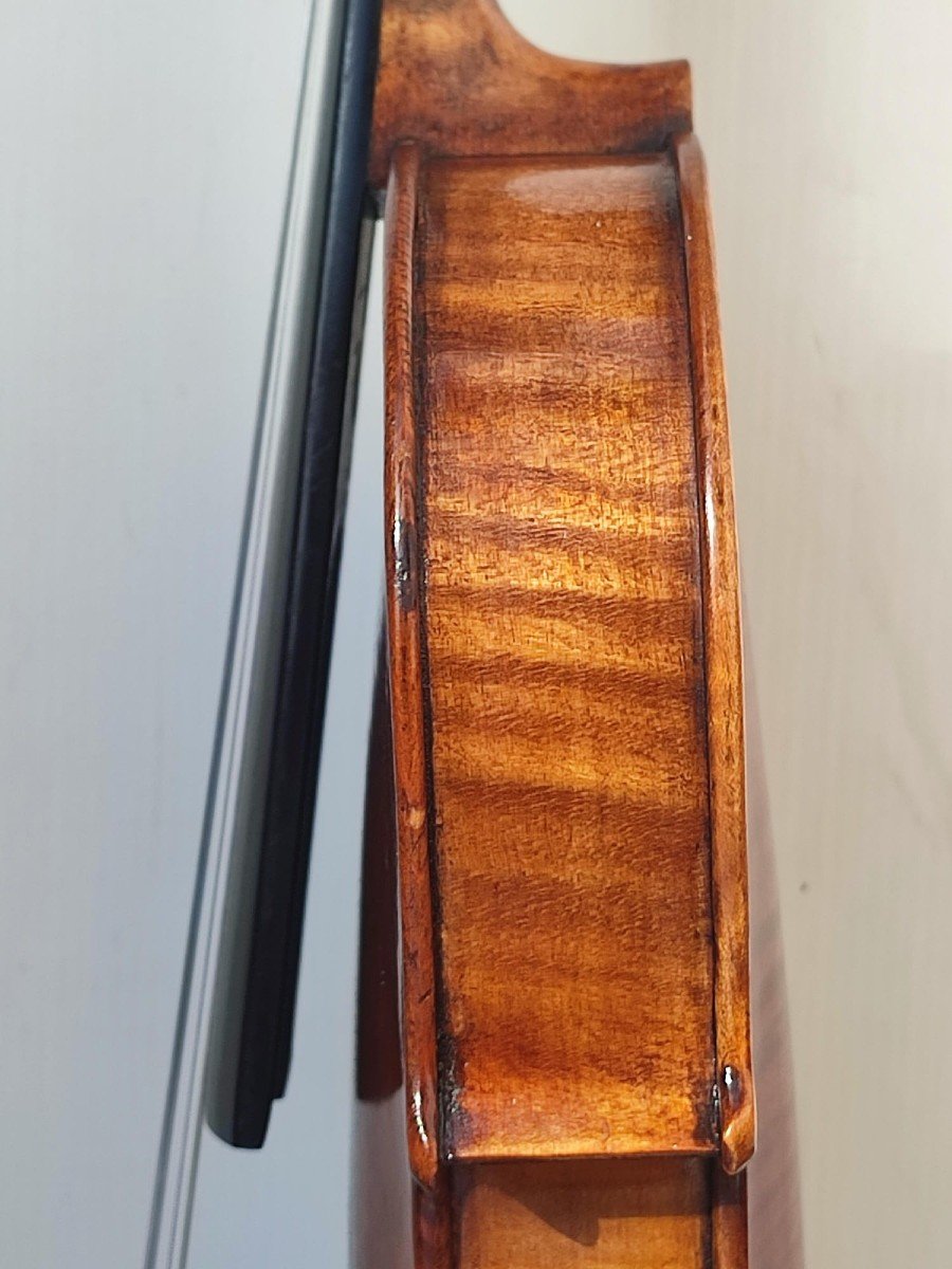 Violino napoletano di Vincenzo Postiglione  (1831-1916) 1860 circa-photo-3