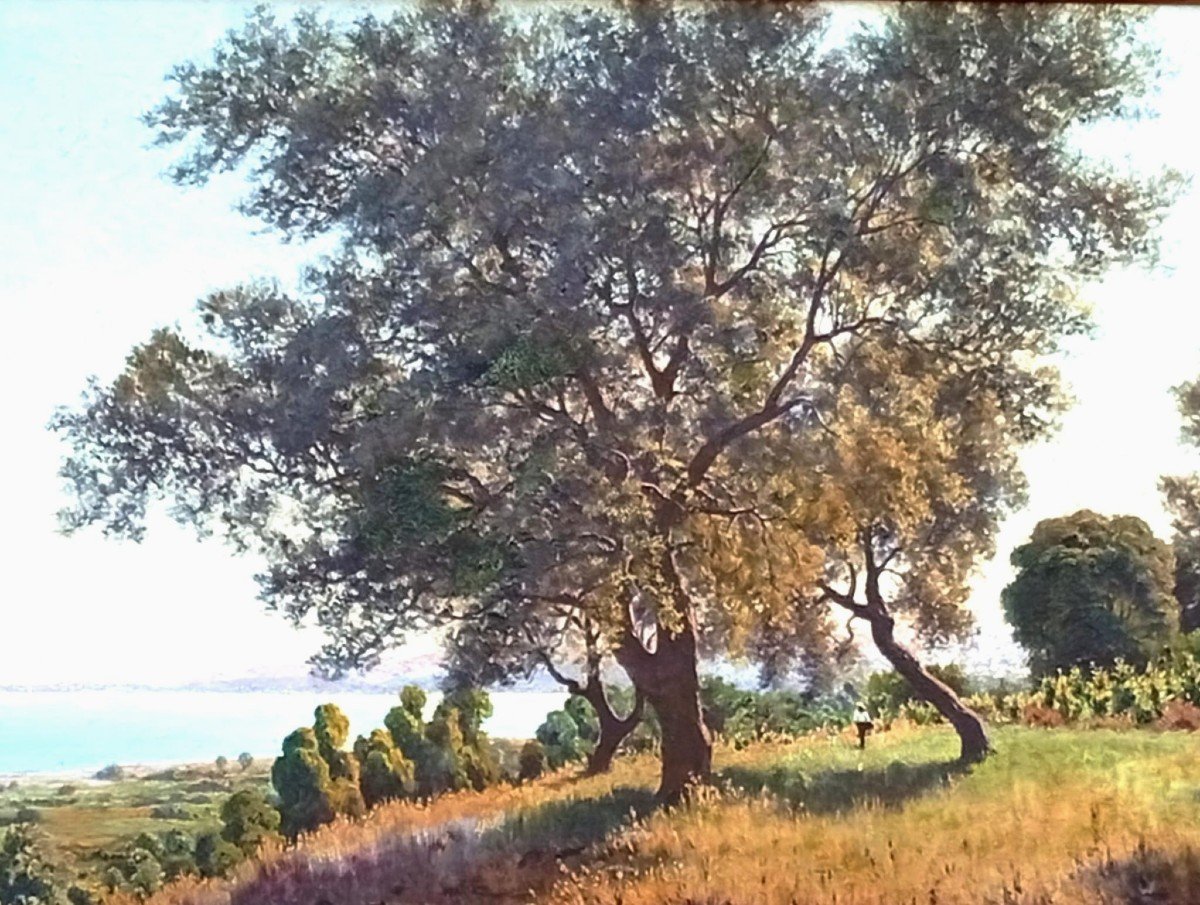 Francesco Lo Jacono 'La Campagna sul golfo di Termini Imerese' cm 75x150-photo-3