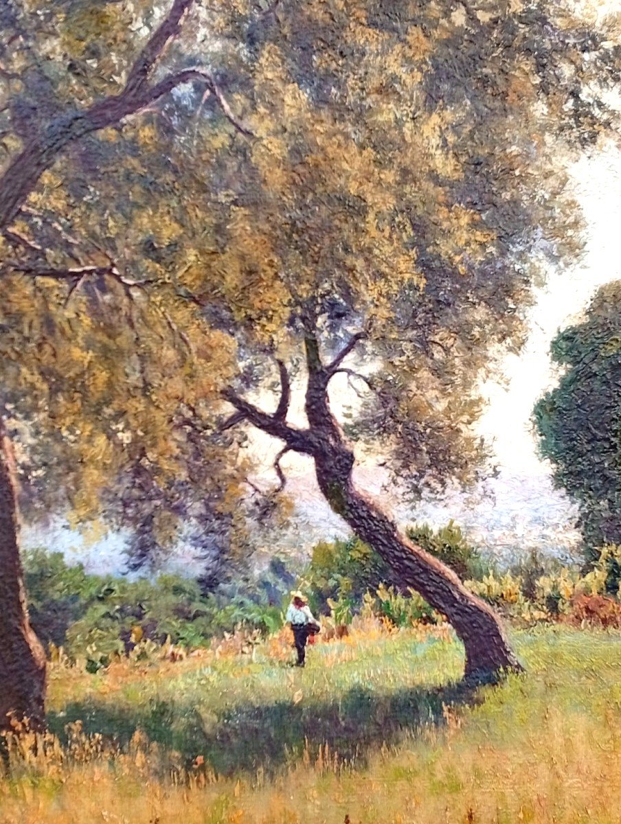 Francesco Lo Jacono 'La Campagna sul golfo di Termini Imerese' cm 75x150-photo-2