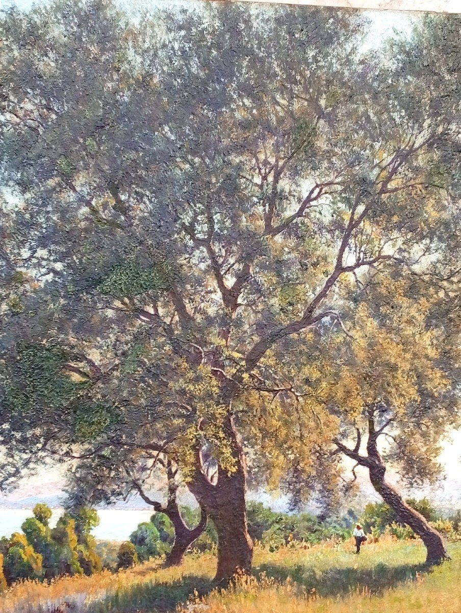 Francesco Lo Jacono 'La Campagna sul golfo di Termini Imerese' cm 75x150-photo-4