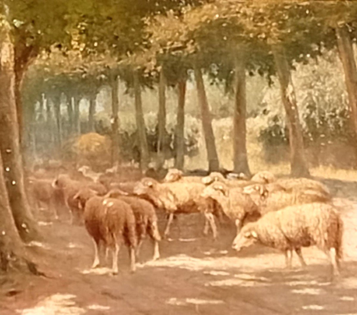 Filippo Palizzi - Le berger avec son troupeau de moutons. Naples 1859 (cm 39x56)-photo-4