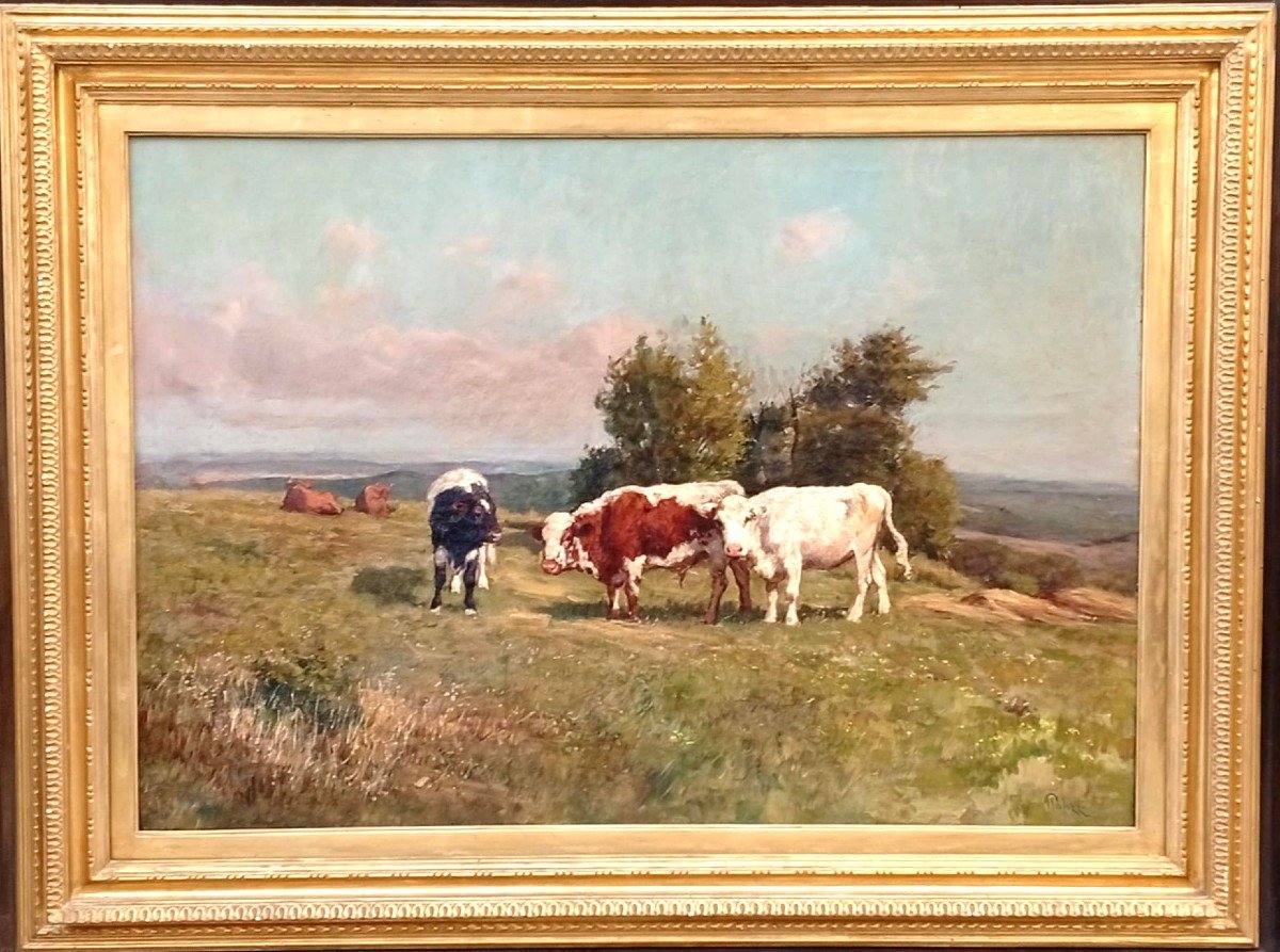 Giuseppe Palizzi- Mucche al Pascolo, olio su tela entro cornice dorata oroiginale-photo-2