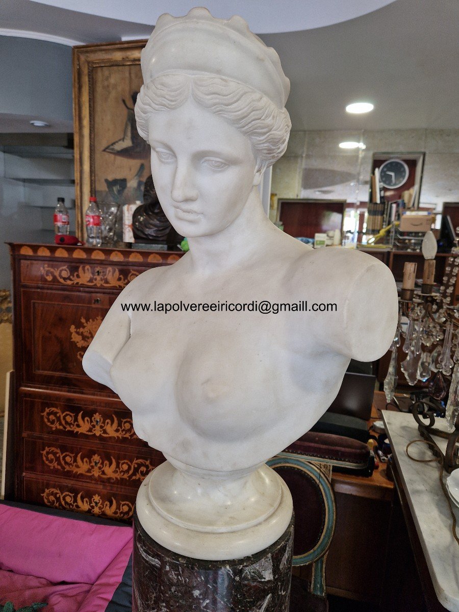 Busto di Venere in marmo bianco della prima metà del XIX secolo di buona qualità.-photo-2