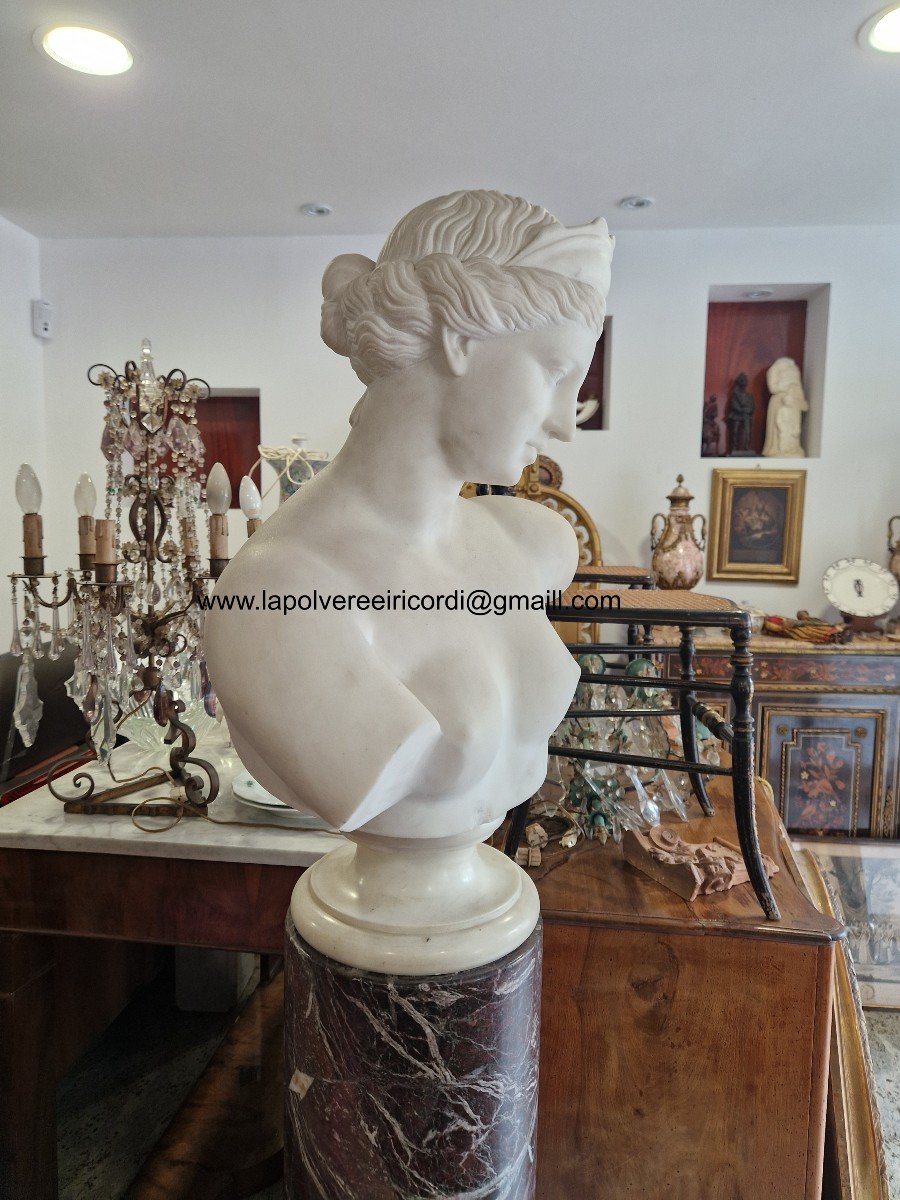 Busto di Venere in marmo bianco della prima metà del XIX secolo di buona qualità.-photo-1