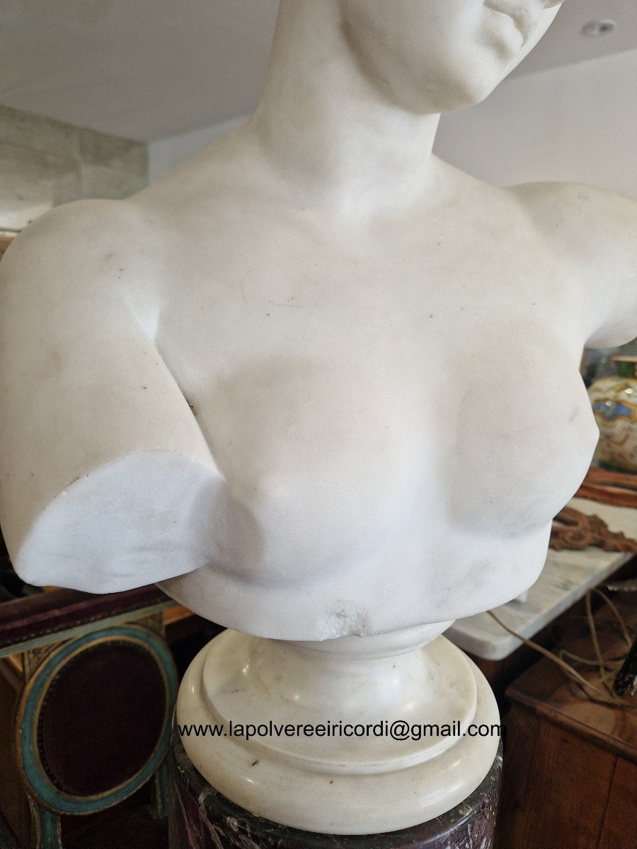 Busto di Venere in marmo bianco della prima metà del XIX secolo di buona qualità.-photo-5