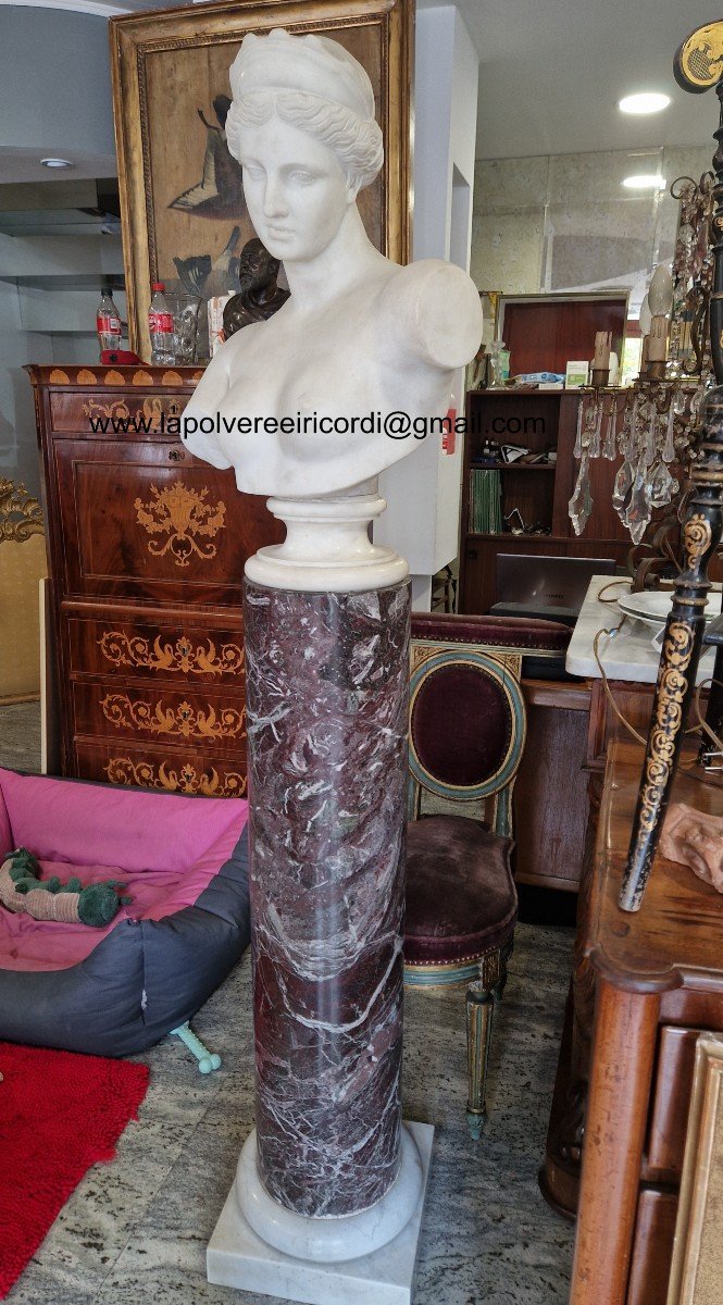 Busto di Venere in marmo bianco della prima metà del XIX secolo di buona qualità.