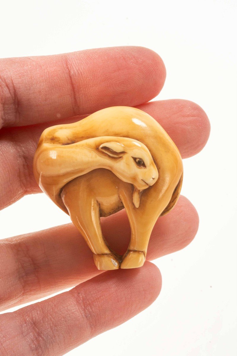 Netsuke in avorio raffigurante un dromedario-photo-4