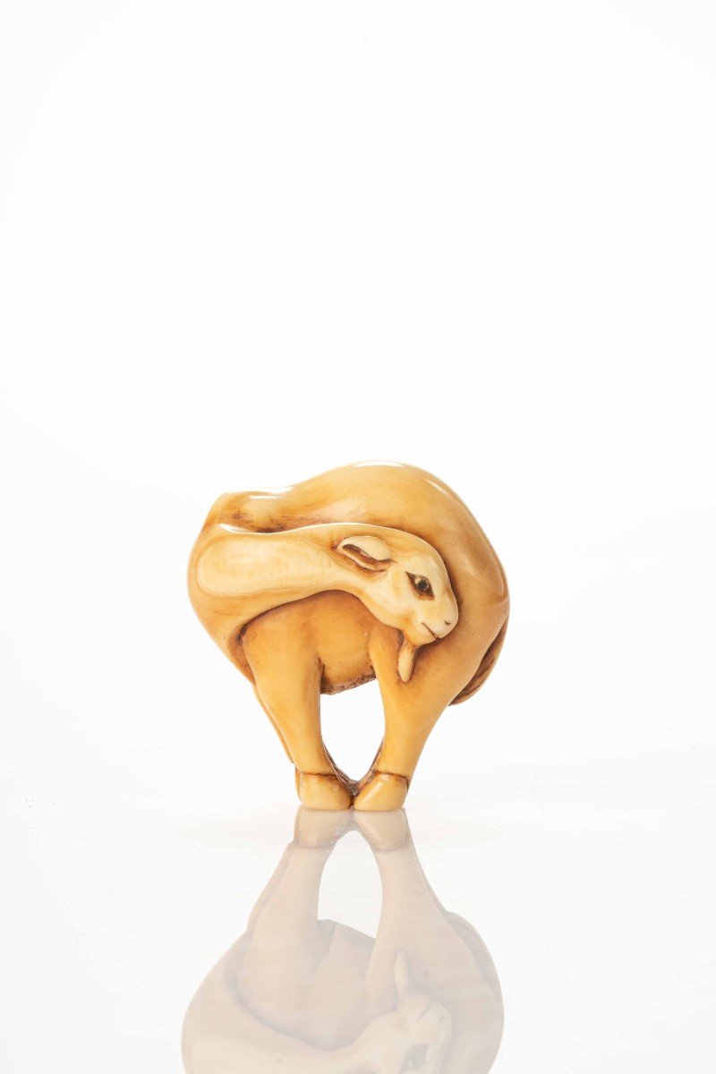 Netsuke in avorio raffigurante un dromedario