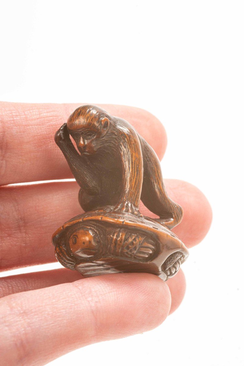 Netsuke in legno di bosso che raffigura una scimmia che cerca di catturare una tartaruga-photo-1