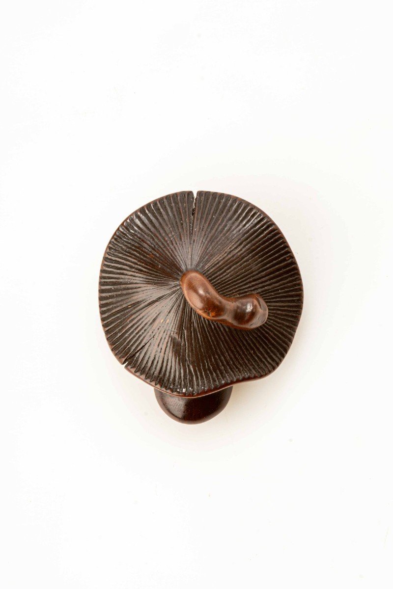 Netsuke shunga in legno di bosso abilmente scolpito raffigurante due funghi-photo-2
