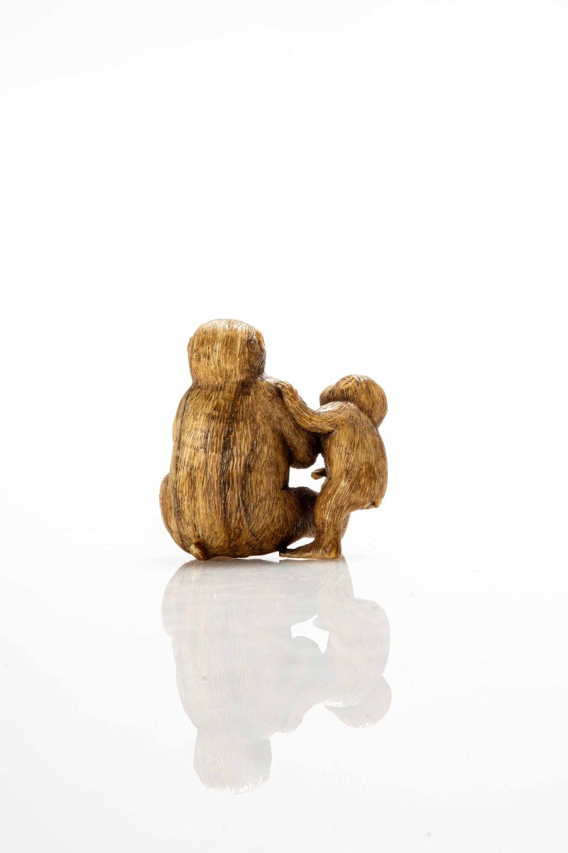 Netsuke in avorio raffigurante una coppia di scimmie sedute-photo-2