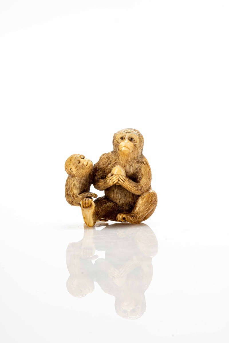 Netsuke in avorio raffigurante una coppia di scimmie sedute-photo-3