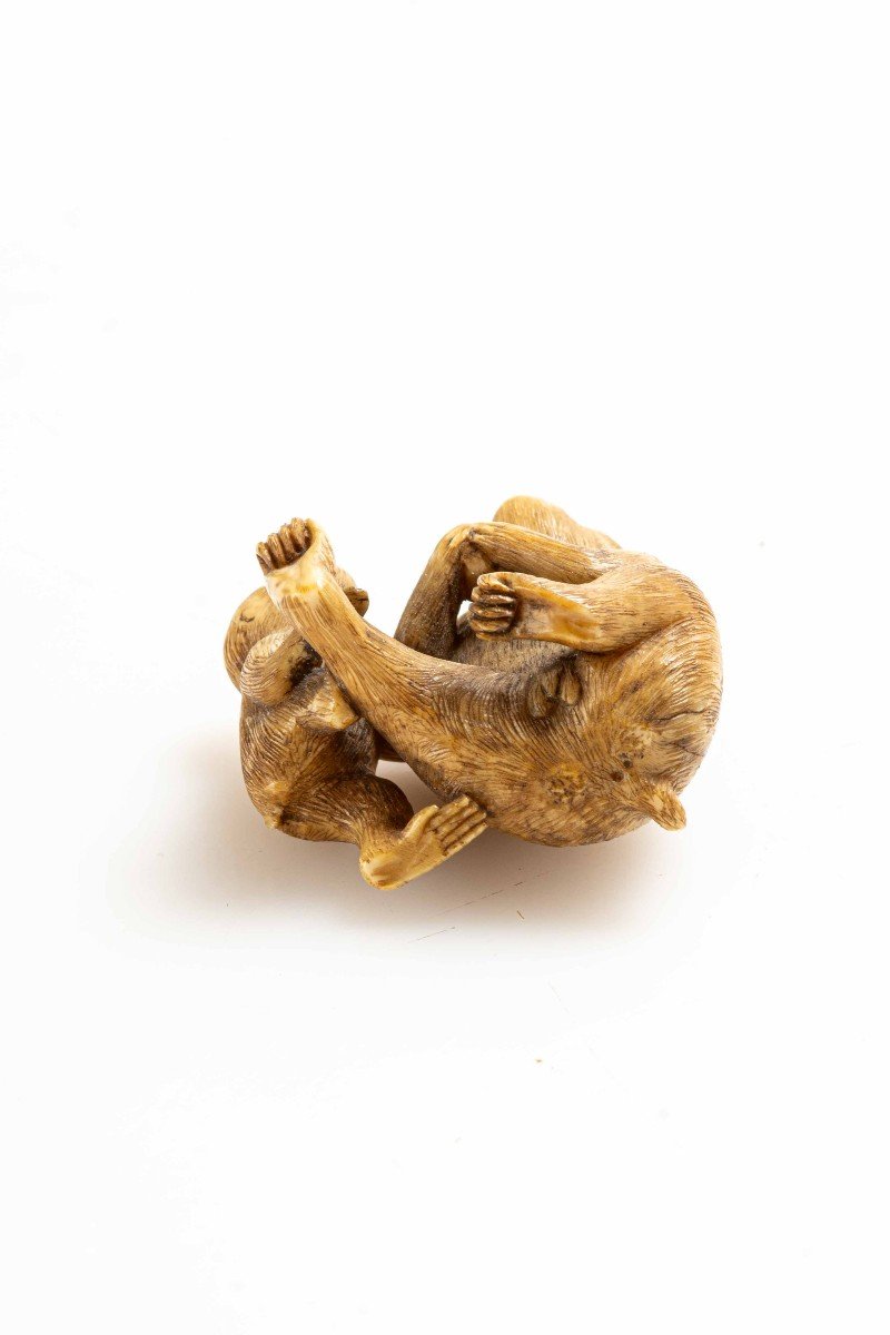 Netsuke in avorio raffigurante una coppia di scimmie sedute-photo-4