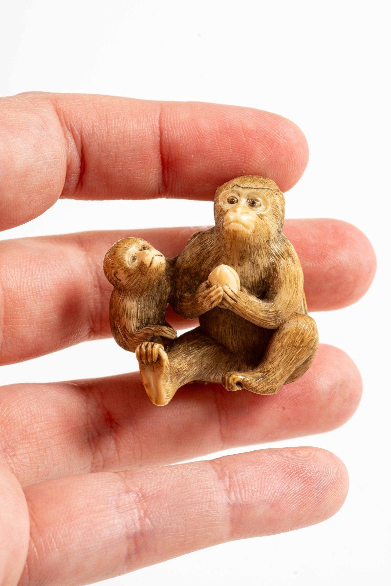 Netsuke in avorio raffigurante una coppia di scimmie sedute-photo-1