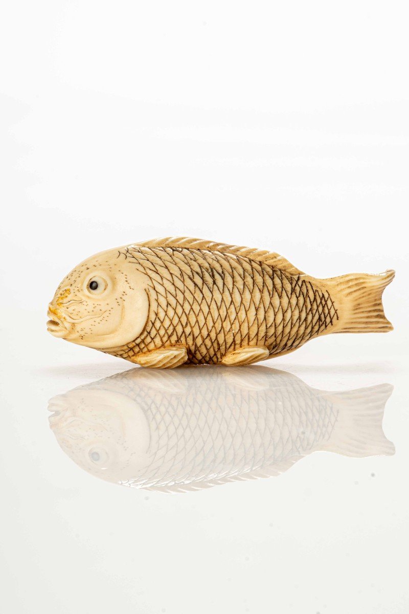 Netsuke in avorio raffigurante una carpa koi 