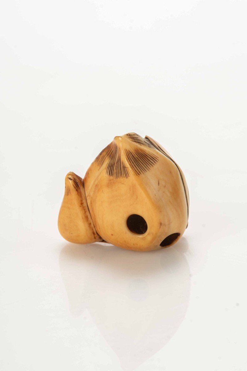 Netsuke in avorio raffigurante un fior di loto che trattiene il sacro gioiello buddista-photo-3