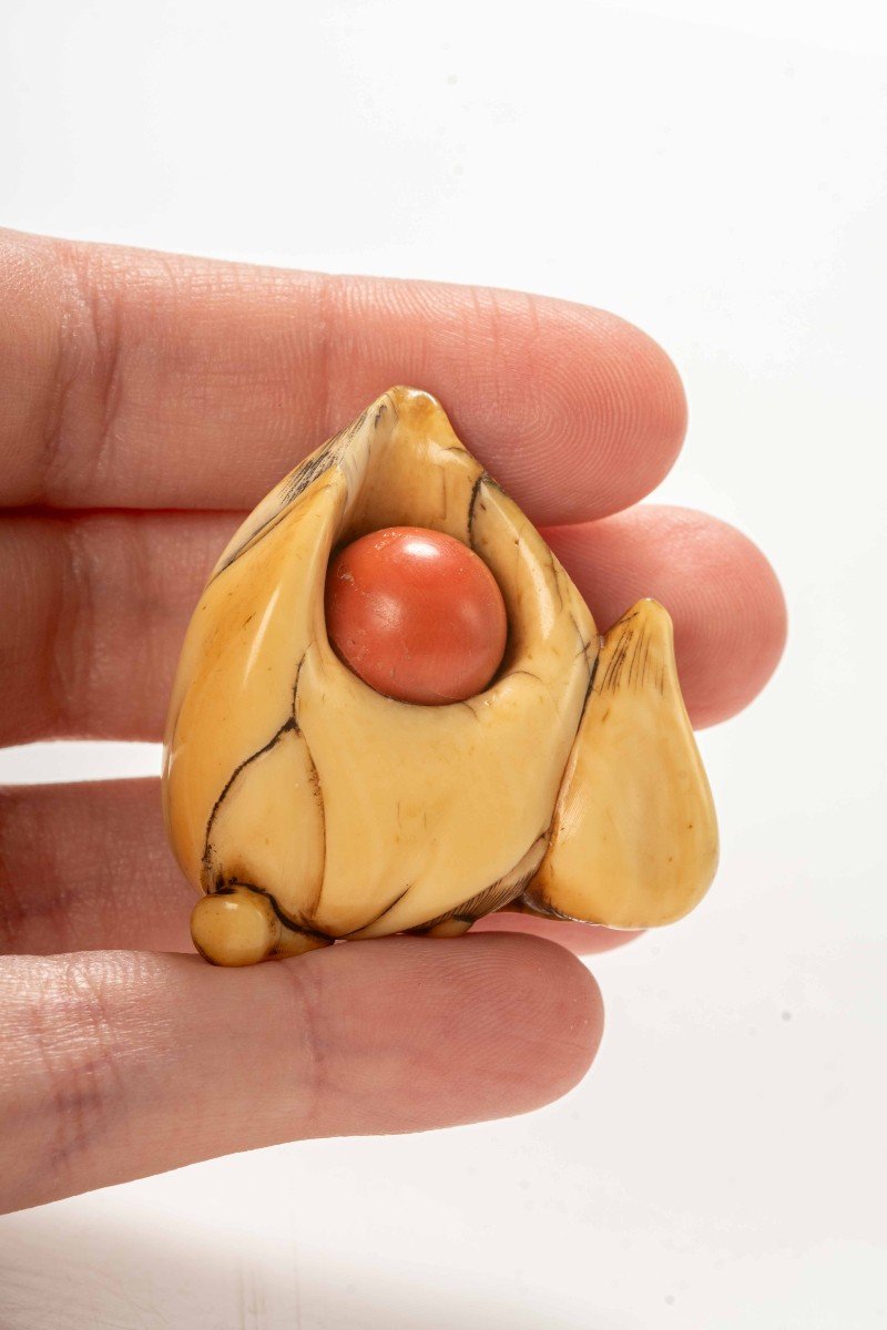 Netsuke in avorio raffigurante un fior di loto che trattiene il sacro gioiello buddista-photo-4