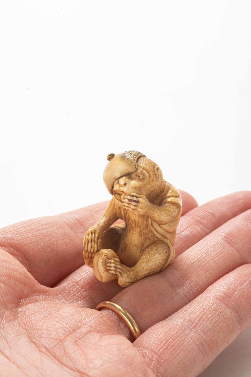 Netsuke in avorio raffigurante una scimmia mentre mangia un frutto-photo-3