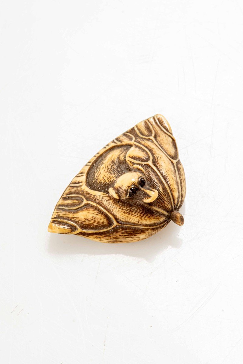 Netsuke in avorio raffigurante un cucciolo su un fiore di loto-photo-3