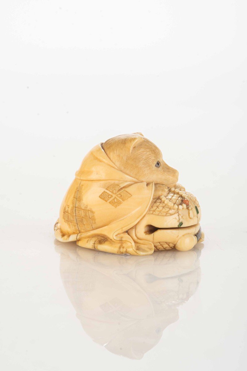 Netsuke in avorio raffigurante un Tanuki-photo-3