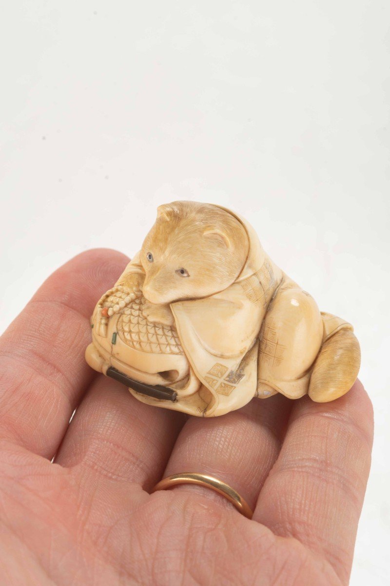 Netsuke in avorio raffigurante un Tanuki-photo-3