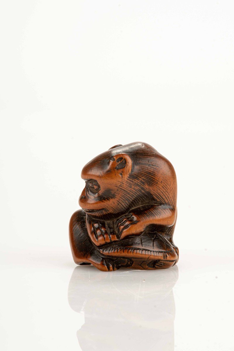 Netsuke giapponese raffigurante una scimmia con una tartaruga-photo-2